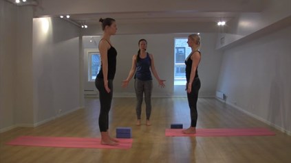 VINYASA FLOW INTRO 1