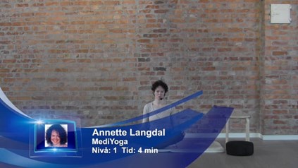 INNFØRING I SITTESTILLING