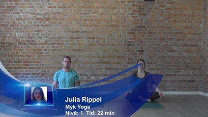 ENKEL SOLHILSEN INNFØRING