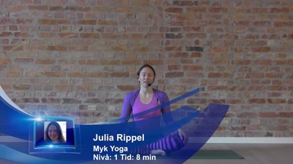 STERKERE ARMER PÅ 8 MIN