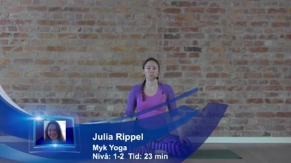 3. STEG MOT STERKERE ARMER