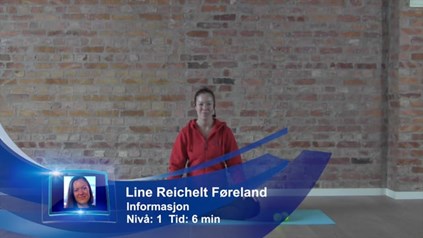 INNFØRING I BINDEVEVSMASSASJEMASSASJE