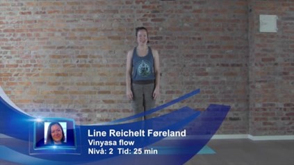 RASKERE FLOW FOR ENERGI