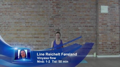 VINYASA FLOW FOR SIRKULASJON