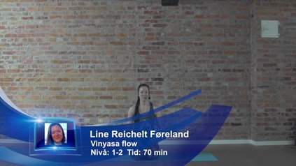 VINYASA FLOW FOR NYBEGYNNERE 2