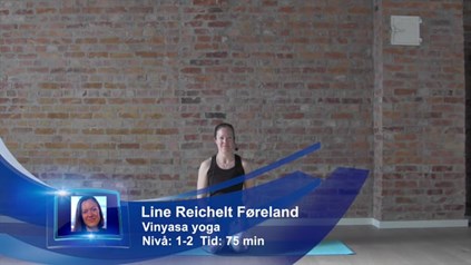 VINYASA FLOW FOR NYBEGYNNERE 3