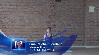 VINYASA FLOW FOR NYBEGYNNERE, 9