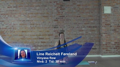 DYNAMISKE BEVEGELSER OG STATISKE HOLD