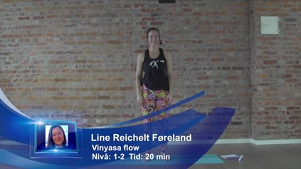VINYASA FLOW UTEN HUNDEN