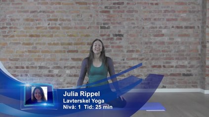 MORGEN ELLER KVELD DETOX I STILLHET