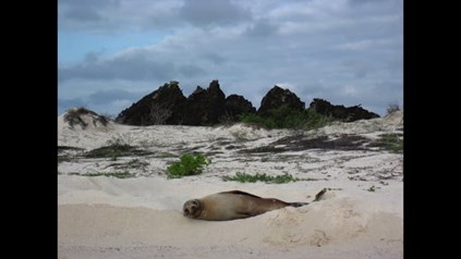 INNFØRING I SVADHYAYA