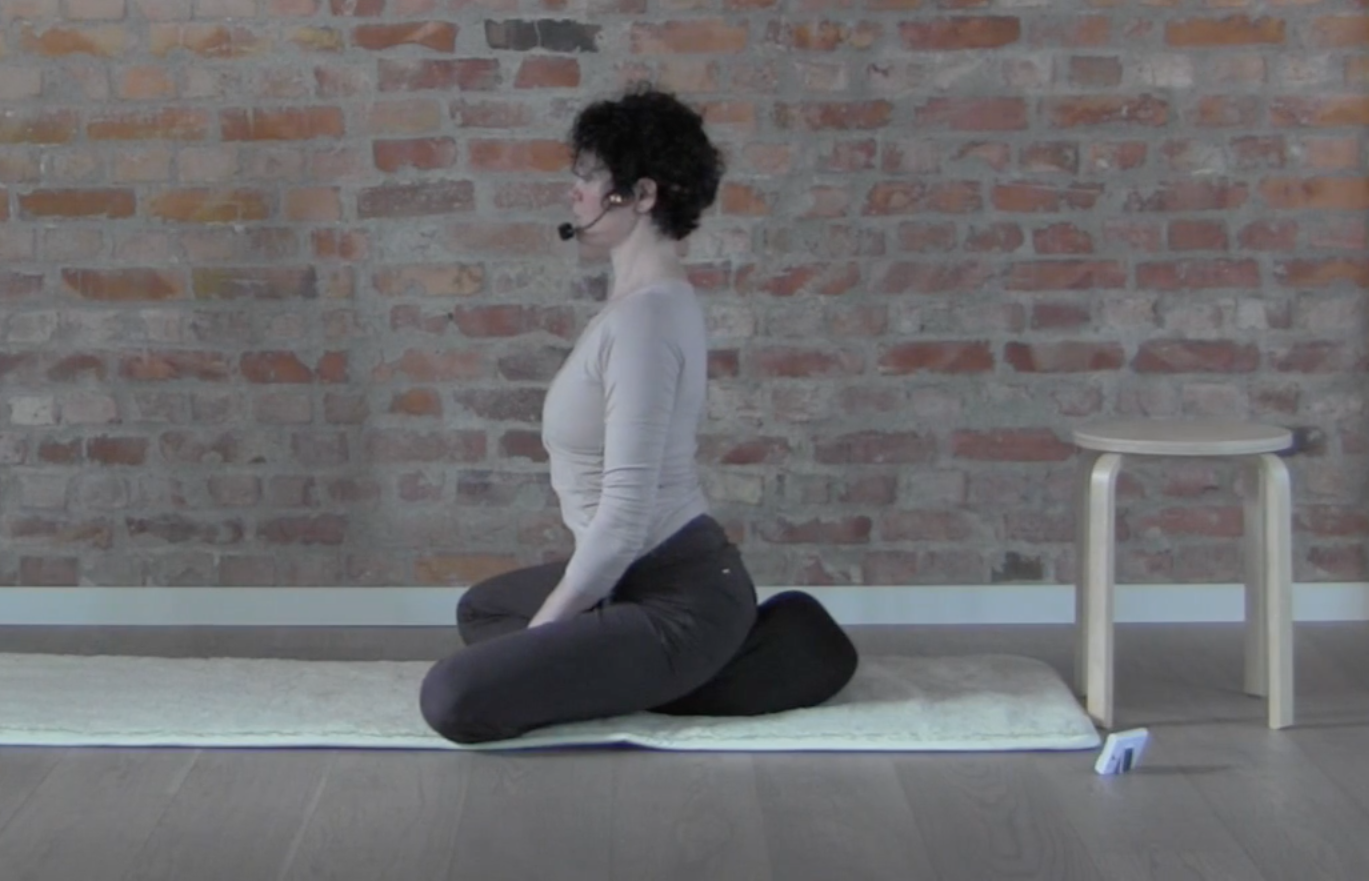 INTRODUKSJON TIL RYGGFLEX