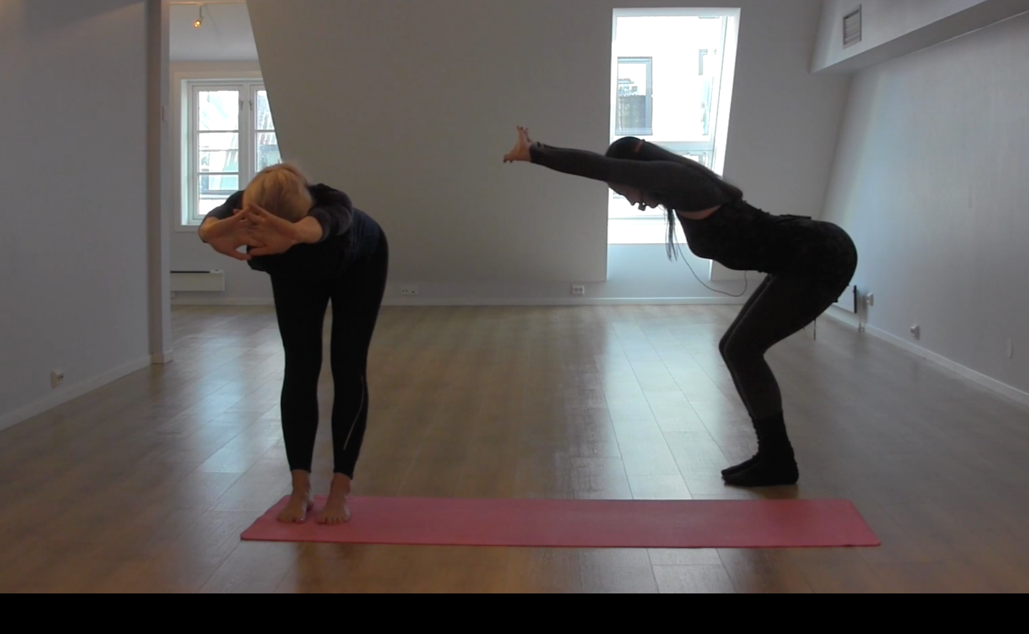 FOKUS PÅ FORDØYELSE