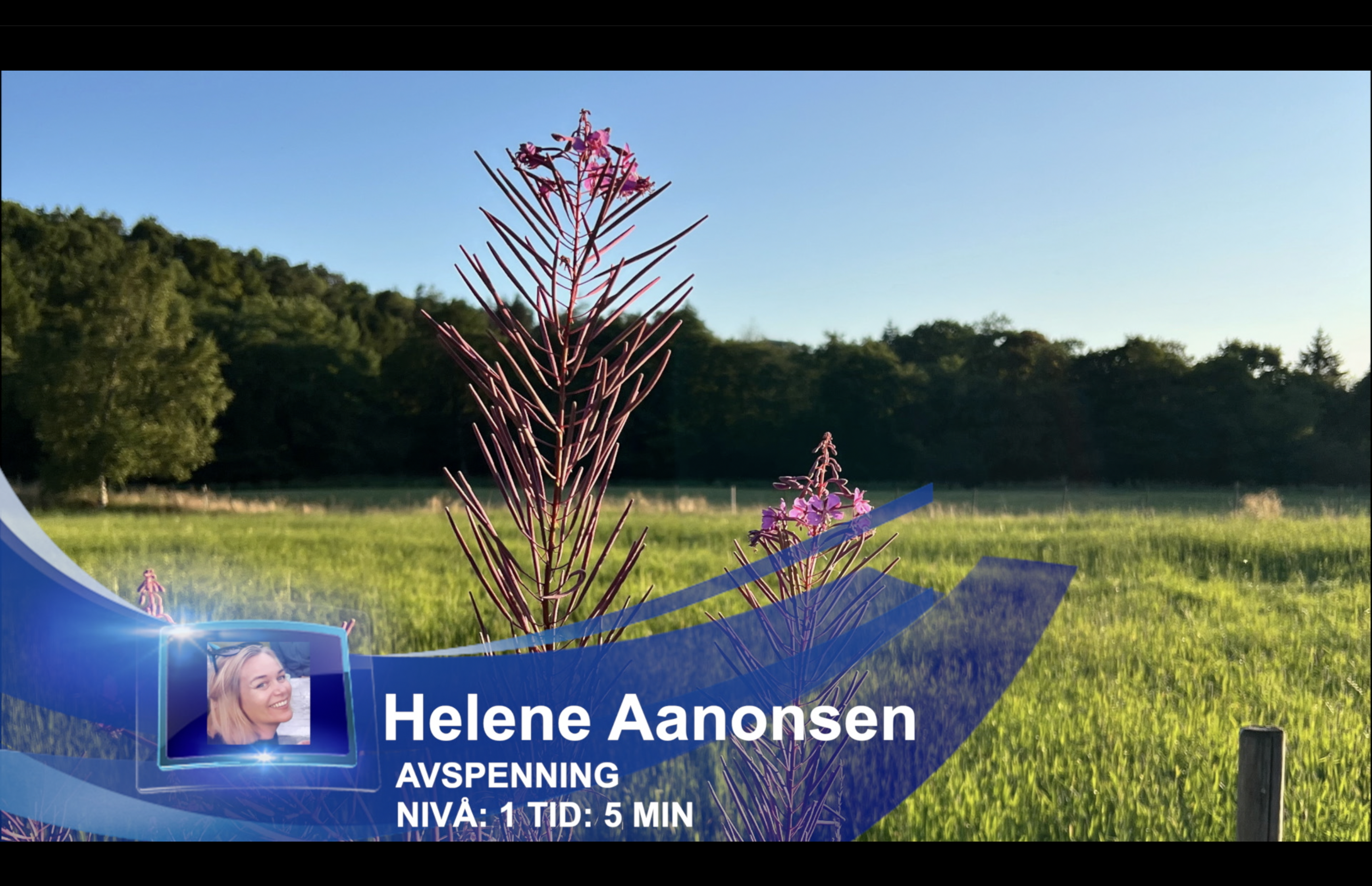 SAVASANA - AVSLUTTENDE AVSPENNING 5 MIN