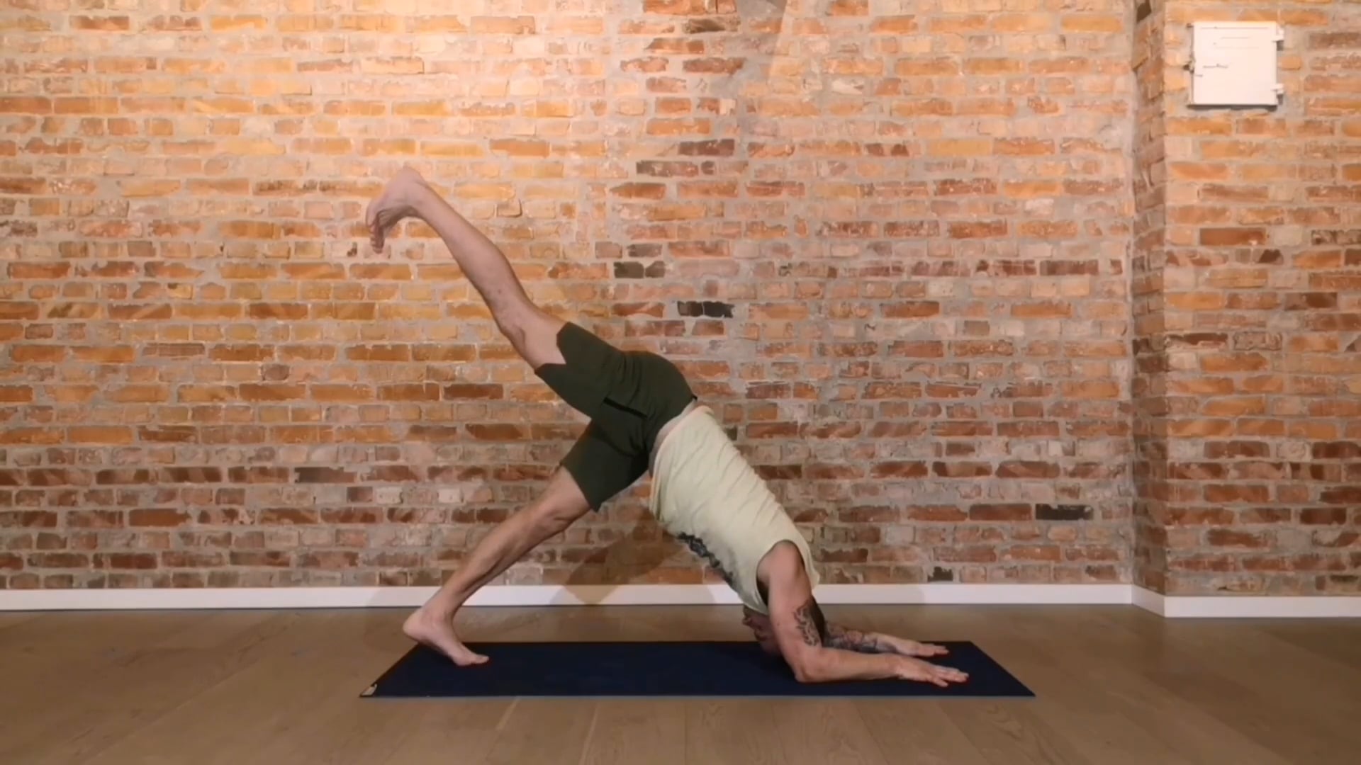 MODUL 1 - "HUND SOM SER NED" VARIASJONER